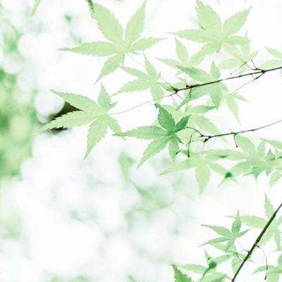 飞机救援模拟器游戏下载