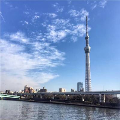 魔力少女内购破解版下载