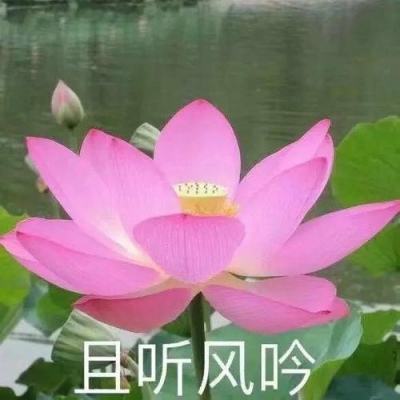 魔灵归来官方手游(暂未上线)v1.1 安卓版